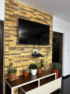 a tv on a stone wall with potted plants at Cabana Acasa la Delia in Gîrda de Sus