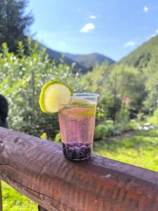 a drink with a lemon slice sitting on a rail at Cabana Acasa la Delia in Gîrda de Sus +6 photos