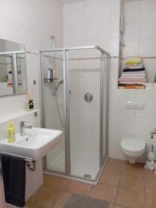a bathroom with a shower and a sink and a toilet at Helles Wohlfühl Apartment in Landshut Altdorf in Altdorf +40 photos