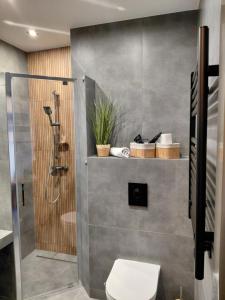 a bathroom with a shower and a toilet at Gościniec nad Olzą in Cieszyn +135 photos
