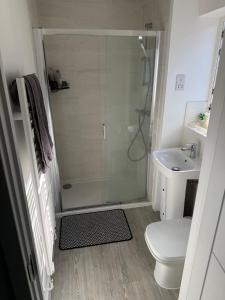 a bathroom with a shower and a toilet and a sink at 14 Lumb close in Swindon