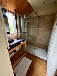 a small bathroom with a shower and a sink at Une jolie Maison en bois au bord de l'Indre in Montbazon +13 photos