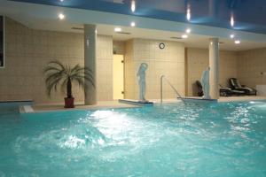 Πισίνα στο ή κοντά στο Hotel Bajkal