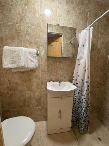 a bathroom with a sink and a toilet and a shower at 27 Argyle Square in London