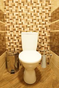 a bathroom with a toilet in a tiled wall at Къща за Гости Тодор in Shiroki Dol +55 photos