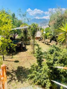 Příroda nedaleko prázdninového domu