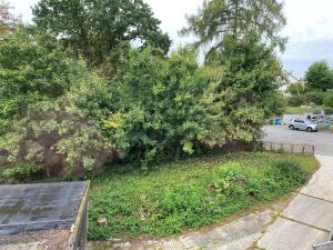 a large bush on the side of a street at Alida 2 in Helmstedt