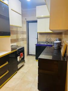 Kuchyň nebo kuchyňský kout v ubytování Gardinia City Apartment