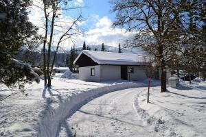 une route enneigée devant une maison dans l'établissement Ferienhaus Wieselweg im Feriendorf Reichenbach 4, à Nesselwang