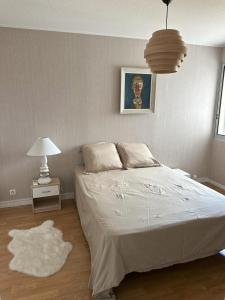 1 dormitorio con cama, lámpara y alfombra en Bel appartement spacieux , lumineux, proche Dijon centre auditorium, en Dijon