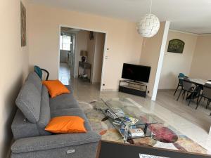 sala de estar con sofá gris y mesa de cristal en Bel appartement spacieux , lumineux, proche Dijon centre auditorium, en Dijon