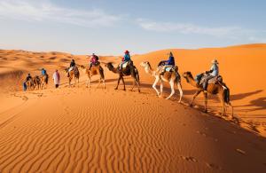 a group of people riding camels in the desert at Typical Luxury Desert Camp in Merzouga