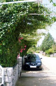 Fotografie z fotogalerie ubytování Apartments Vesna v destinaci Pinezici