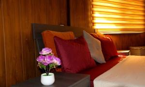 Afbeelding uit fotogalerij van Neverland Resort مزرعة نيفرلاند in Irbid