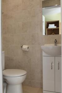 a bathroom with a toilet and a sink and a mirror at The Abbey House Hotel in Reading