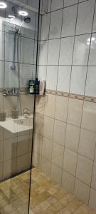 une salle de bain avec douche et lavabo dans l'établissement Piatra Craiului Cozy Flat, à Timişoara