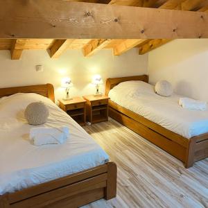 two twin beds in a room with wooden ceilings at Chalet spacieux avec vue magnifique in Saint-Marcel