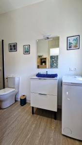 une salle de bains avec lavabo, toilettes et miroir dans l'établissement Cocon Thermal, appartement cosy 2 à 4 pers, proche Centre et Thermes, à Bagnères-de-Bigorre 11 autres photos