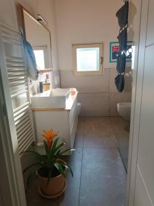 a bathroom with a sink and a toilet and a plant at Villa Monte Adone in Santa Cecilia