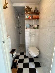 a bathroom with a toilet and a black and white checkered floor at Tiny House - Surfers Paradise in Noordwijk +48 photos