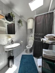 a bathroom with a toilet and a sink and a shower at Apartments Kety in Jezera