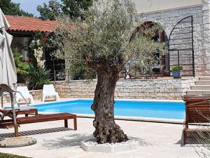 Πισίνα στο ή κοντά στο Charmante Villa Histra Mit Pool Und Großem Garten