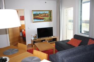 a living room with a couch and a tv at Levi Chalets 1508 Visit Levi in Levi