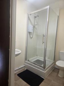 a shower stall in a bathroom with a toilet at 52 - room 1 - city views in Swansea