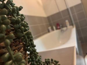 a bathroom with a tub and a plant in the foreground at Agnes Little Corner in Honfleur +17 photos