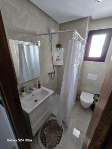 Un baño con lavabo, ducha e inodoro. en Cozy hotel-style emerald apartment, en El Aouina Station 15 fotos más