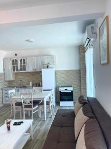 Η κουζίνα ή μικρή κουζίνα στο Apartmani Rajkovic