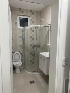巴尔Apartmani Rajkovic的带淋浴和卫生间的浴室以及电视。