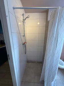 a bathroom with a shower and a toilet at Monroe’s stay in Deventer