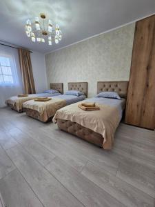 a bedroom with two beds and a chandelier at Green Hill Villa in Corneşti