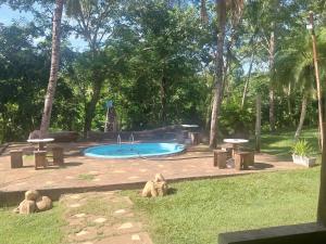 Una piscina en un parque con un perro tumbado en el césped. en Chácara PontAlegre, en Rondonópolis 6 fotos más
