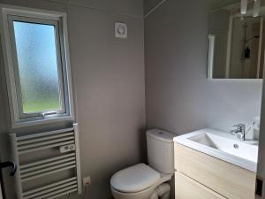 a bathroom with a toilet and a sink and a window at Les Cabanes d'Isa - Cab'Fer in Flexanville