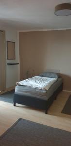 een slaapkamer met een bed in een kamer bij Weitblick in Wadgassen