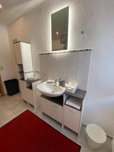 a bathroom with a sink and a mirror at Ferienwohnung am Möhntal in Heidenheim an der Brenz +14 photos