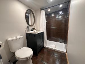 a bathroom with a toilet and a shower and a sink at Pine Lodge w King TT Beds Hot Tub Deck Grill in Eureka Springs