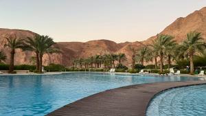 a large swimming pool with palm trees and mountains at Flow - Al Raha Village in Aqaba