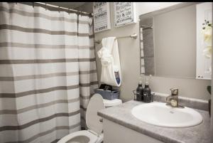 a bathroom with a sink and a toilet and a shower at The Reserve at Irondale in Birmingham