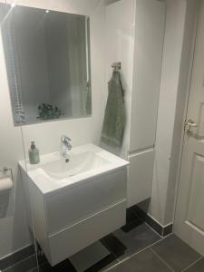 海斯勒Solskinshuset的带水槽和淋浴的白色浴室