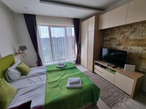TV a/nebo společenská místnost v ubytování Kopaonik, Milmari resort, Apartman Duga