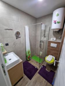 Koupelna v ubytování Kopaonik, Milmari resort, Apartman Duga