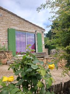a house with a green window and a bush at Maisonnette avec jardin - Séjour détente in Sabran