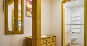 une salle de bain avec un lavabo, des toilettes et un miroir dans l'établissement Oberengenbachhof, à Eisenbach 34 autres photos