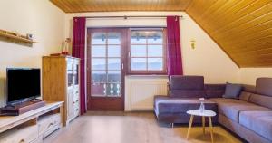 un salon avec un canapé et une télévision dans l'établissement Oberengenbachhof, à Eisenbach