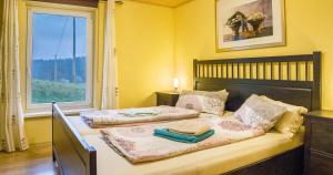deux lits dans une chambre avec une fenêtre dans l'établissement Oberengenbachhof, à Eisenbach