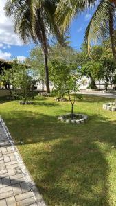 un parc avec des palmiers et un champ herbeux dans l'établissement Chácara Rbs, à Sobral 35 autres photos