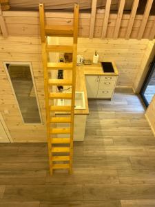 a kitchen with a ladder in a wooden cabin at Pievu namelis in Venta